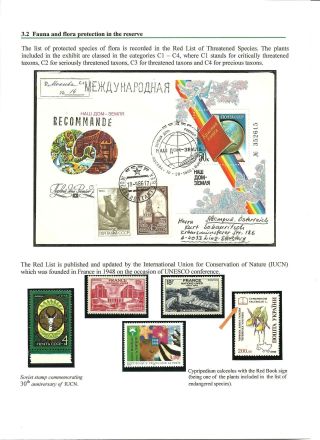 NATIONAL NATURE RESERVE CERTORYJE AND ITS FLORA – sheet 8