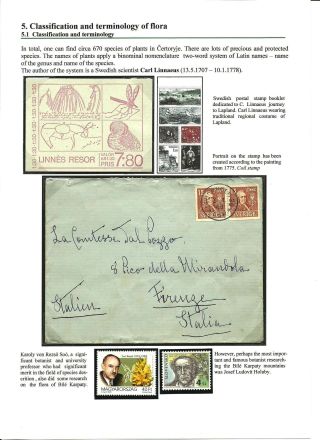 NATIONAL NATURE RESERVE CERTORYJE AND ITS FLORA – sheet 11