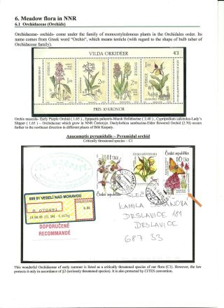 NATIONAL NATURE RESERVE CERTORYJE AND ITS FLORA – sheet 12