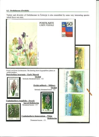 NATIONAL NATURE RESERVE CERTORYJE AND ITS FLORA – sheet 13