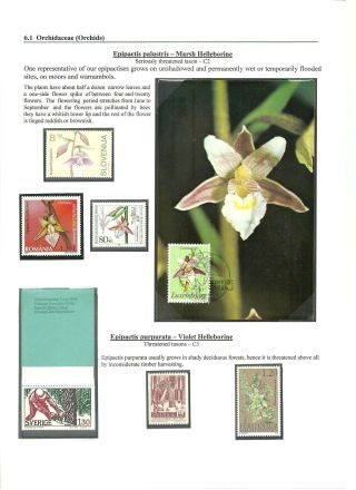 NATIONAL NATURE RESERVE CERTORYJE AND ITS FLORA – sheet 14