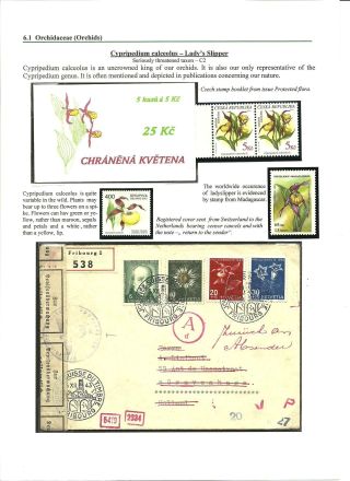 NATIONAL NATURE RESERVE CERTORYJE AND ITS FLORA – sheet 15