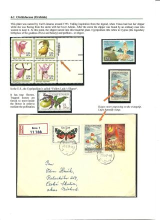 NATIONAL NATURE RESERVE CERTORYJE AND ITS FLORA – sheet 16