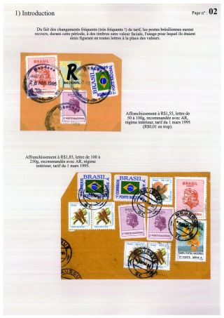 DER BRASILIANISCHE SAMBA, STUDIUM DER INFLATION IN BRASIL 1988-1997 – Blatt 2