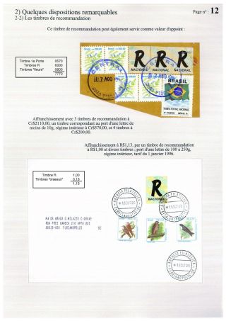 DER BRASILIANISCHE SAMBA, STUDIUM DER INFLATION IN BRASIL 1988-1997 – Blatt 12