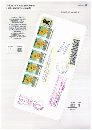 BRAZILSKÁ SAMBA, STUDIE BRAZILSKÉ INFLACE 1988-1997 – list 43