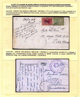 JAHR 1919 – Blatt 35