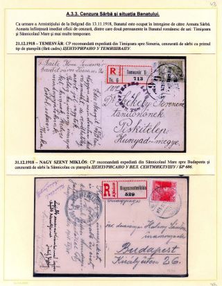 JAHR 1919 – Blatt 43