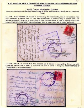 JAHR 1919 – Blatt 47