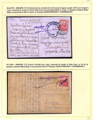 JAHR 1919 – Blatt 49