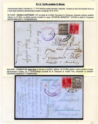 JAHR 1919 – Blatt 53