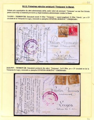 JAHR 1919 – Blatt 56