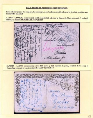 JAHR 1919 – Blatt 59