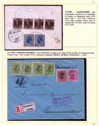 JAHR 1919 – Blatt 61