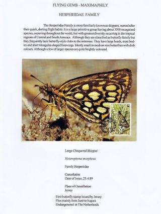 ANALOGICKÉ POHLEDNICE: LÉTAJÍCÍ SKVOSTY - MOTÝLI – list 5
