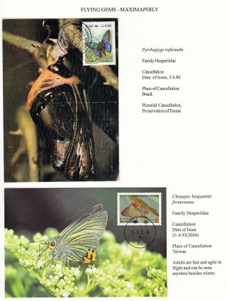ANALOGICKÉ POHLEDNICE: LÉTAJÍCÍ SKVOSTY - MOTÝLI – list 6