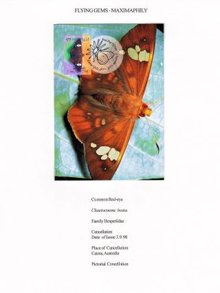 ANALOGICKÉ POHLEDNICE: LÉTAJÍCÍ SKVOSTY - MOTÝLI – list 7