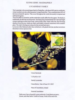 ANALOGICKÉ POHLEDNICE: LÉTAJÍCÍ SKVOSTY - MOTÝLI – list 8