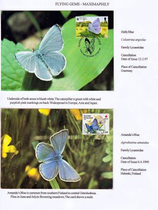 ANALOGICKÉ POHLEDNICE: LÉTAJÍCÍ SKVOSTY - MOTÝLI – list 9