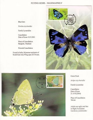 ANALOGICKÉ POHLEDNICE: LÉTAJÍCÍ SKVOSTY - MOTÝLI – list 11