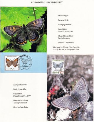 ANALOGICKÉ POHLEDNICE: LÉTAJÍCÍ SKVOSTY - MOTÝLI – list 13