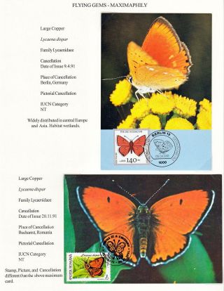 ANALOGICKÉ POHLEDNICE: LÉTAJÍCÍ SKVOSTY - MOTÝLI – list 14