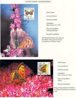 ANALOGICKÉ POHLEDNICE: LÉTAJÍCÍ SKVOSTY - MOTÝLI – list 15