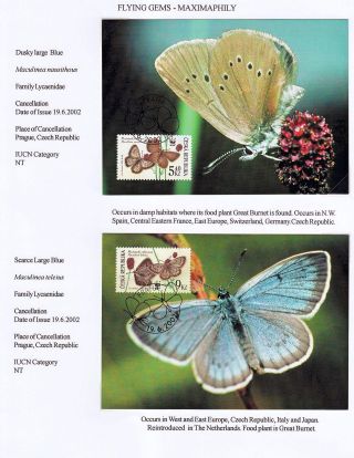 MAXIMUMKARTEN: FLIEGENDE HERRLICHKEIT - SCHMETTERLINGEN – Blatt 17