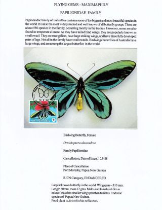 MAXIMUMKARTEN: FLIEGENDE HERRLICHKEIT - SCHMETTERLINGEN – Blatt 19