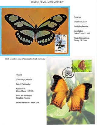 MAXIMUMKARTEN: FLIEGENDE HERRLICHKEIT - SCHMETTERLINGEN – Blatt 21