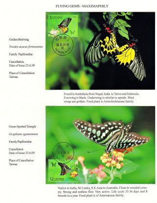 MAXIMUMKARTEN: FLIEGENDE HERRLICHKEIT - SCHMETTERLINGEN – Blatt 22