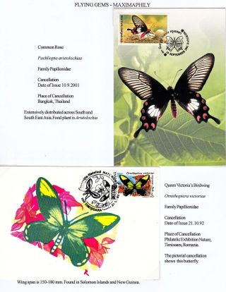 MAXIMUMKARTEN: FLIEGENDE HERRLICHKEIT - SCHMETTERLINGEN – Blatt 24