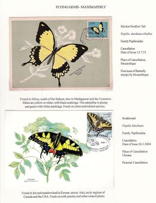 MAXIMUMKARTEN: FLIEGENDE HERRLICHKEIT - SCHMETTERLINGEN – Blatt 27