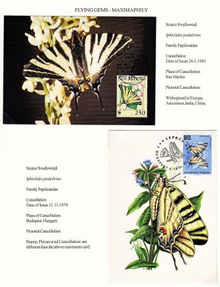 MAXIMUMKARTEN: FLIEGENDE HERRLICHKEIT - SCHMETTERLINGEN – Blatt 29