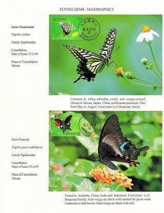 MAXIMUMKARTEN: FLIEGENDE HERRLICHKEIT - SCHMETTERLINGEN – Blatt 30