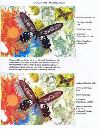 MAXIMUMKARTEN: FLIEGENDE HERRLICHKEIT - SCHMETTERLINGEN – Blatt 31