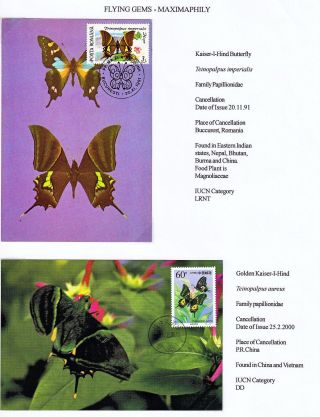 MAXIMUMKARTEN: FLIEGENDE HERRLICHKEIT - SCHMETTERLINGEN – Blatt 32