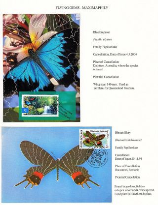FLYING GEMS OR LEPIDOPTERA - MAXIMAPHILY – sheet 33