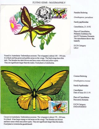 FLYING GEMS OR LEPIDOPTERA - MAXIMAPHILY – sheet 34