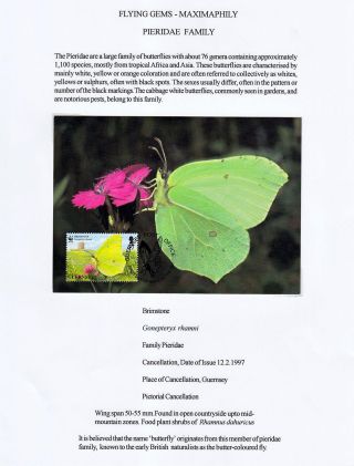 FLYING GEMS OR LEPIDOPTERA - MAXIMAPHILY – sheet 35