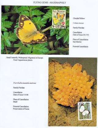 FLYING GEMS OR LEPIDOPTERA - MAXIMAPHILY – sheet 36