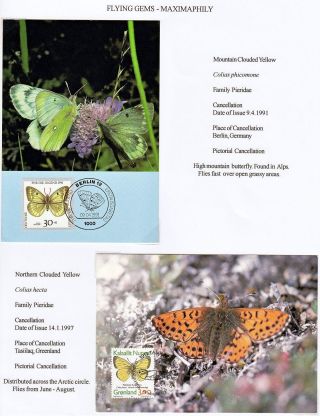FLYING GEMS OR LEPIDOPTERA - MAXIMAPHILY – sheet 37
