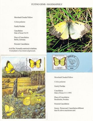 FLYING GEMS OR LEPIDOPTERA - MAXIMAPHILY – sheet 38