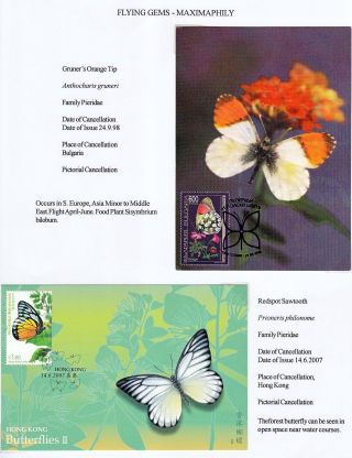 FLYING GEMS OR LEPIDOPTERA - MAXIMAPHILY – sheet 40