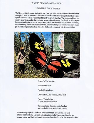 FLYING GEMS OR LEPIDOPTERA - MAXIMAPHILY – sheet 41