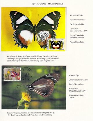 FLYING GEMS OR LEPIDOPTERA - MAXIMAPHILY – sheet 42