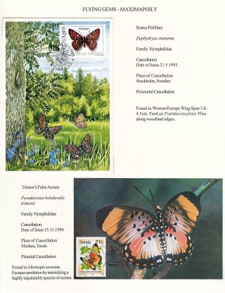 FLYING GEMS OR LEPIDOPTERA - MAXIMAPHILY – sheet 44