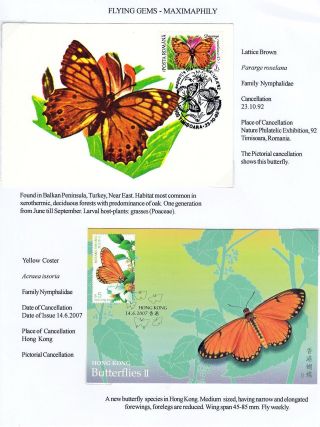 FLYING GEMS OR LEPIDOPTERA - MAXIMAPHILY – sheet 45