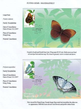 FLYING GEMS OR LEPIDOPTERA - MAXIMAPHILY – sheet 46
