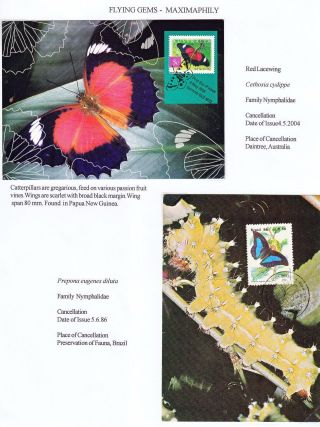 FLYING GEMS OR LEPIDOPTERA - MAXIMAPHILY – sheet 47